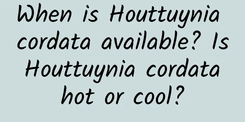 When is Houttuynia cordata available? Is Houttuynia cordata hot or cool?