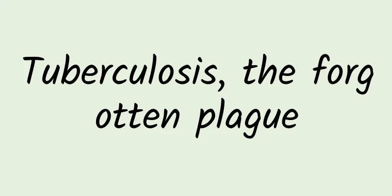 Tuberculosis, the forgotten plague