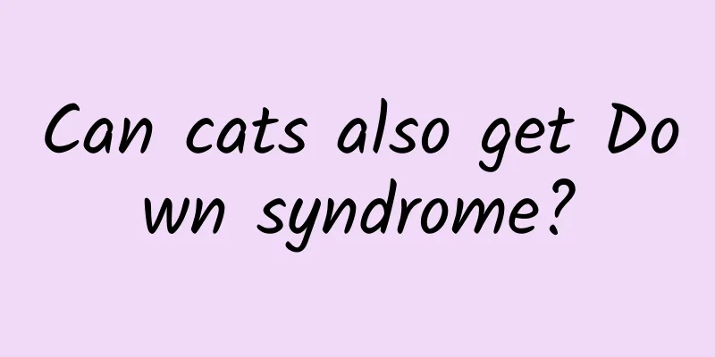 Can cats also get Down syndrome?
