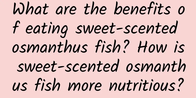 What are the benefits of eating sweet-scented osmanthus fish? How is sweet-scented osmanthus fish more nutritious?