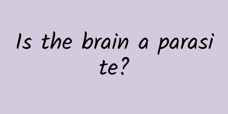 Is the brain a parasite?