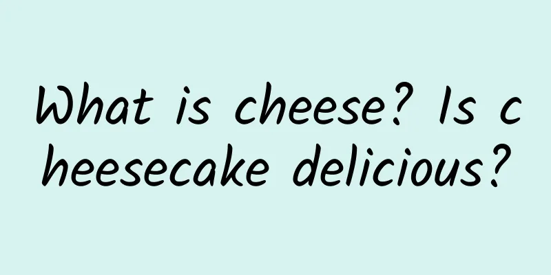What is cheese? Is cheesecake delicious?