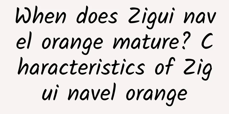 When does Zigui navel orange mature? Characteristics of Zigui navel orange
