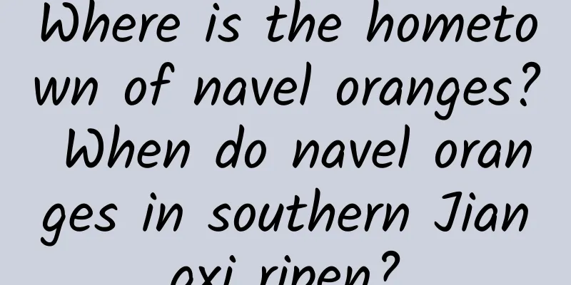 Where is the hometown of navel oranges? When do navel oranges in southern Jiangxi ripen?