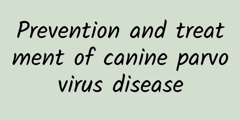 Prevention and treatment of canine parvovirus disease
