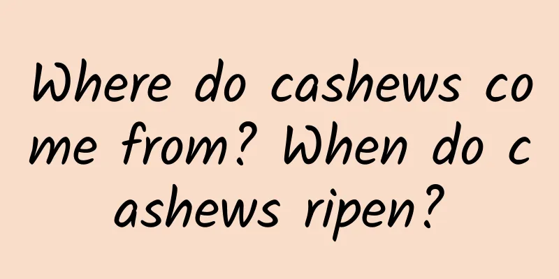 Where do cashews come from? When do cashews ripen?