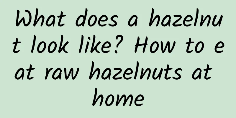 What does a hazelnut look like? How to eat raw hazelnuts at home
