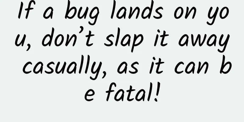 If a bug lands on you, don’t slap it away casually, as it can be fatal!
