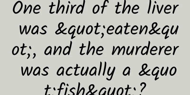 One third of the liver was "eaten", and the murderer was actually a "fish"?
