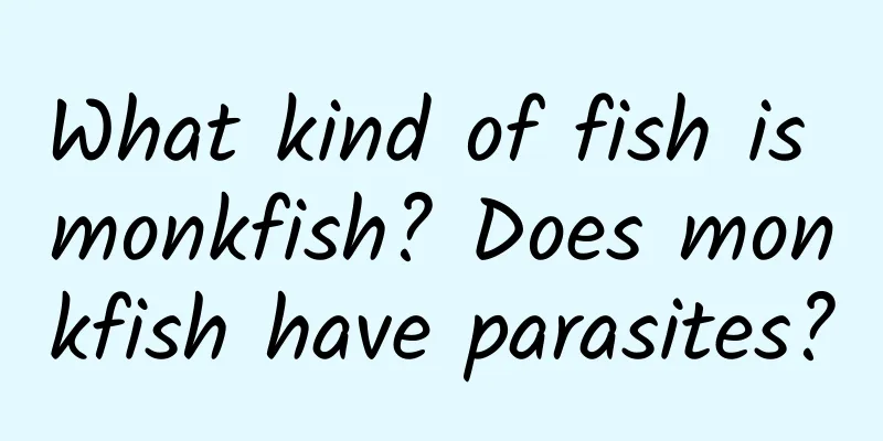 What kind of fish is monkfish? Does monkfish have parasites?