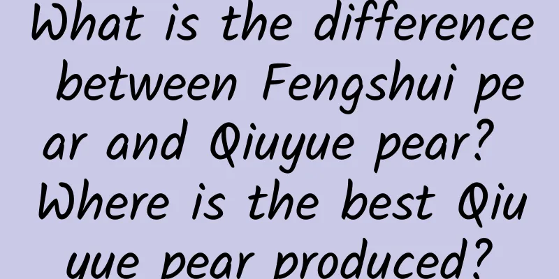 What is the difference between Fengshui pear and Qiuyue pear? Where is the best Qiuyue pear produced?