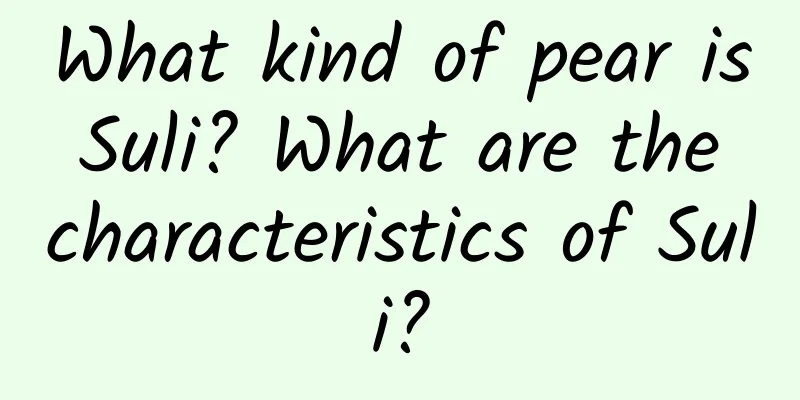 What kind of pear is Suli? What are the characteristics of Suli?
