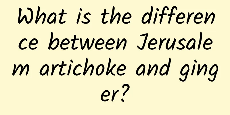 What is the difference between Jerusalem artichoke and ginger?