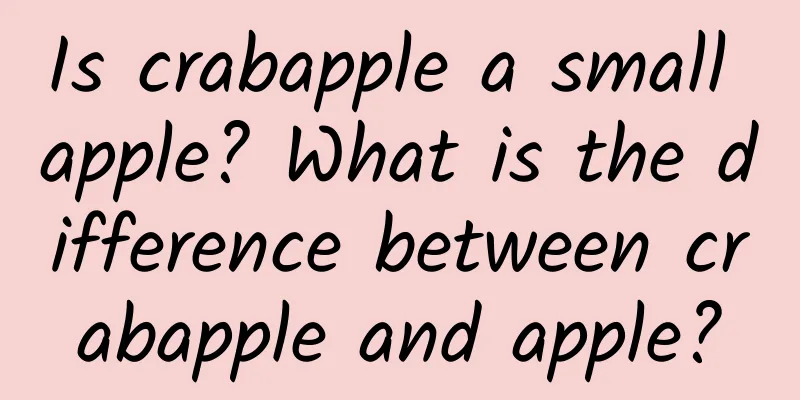 Is crabapple a small apple? What is the difference between crabapple and apple?