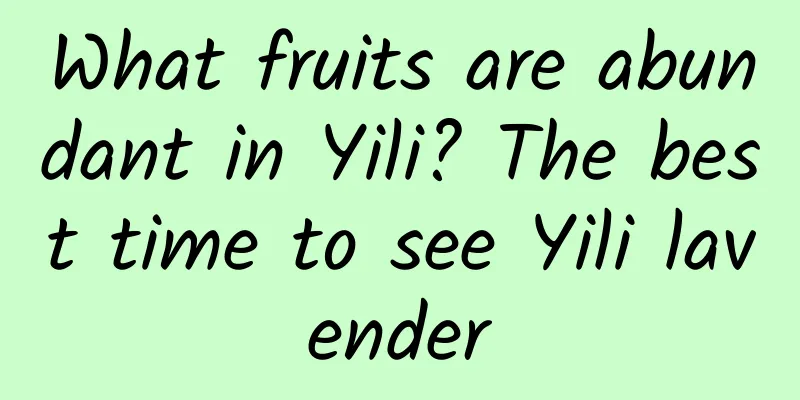 What fruits are abundant in Yili? The best time to see Yili lavender