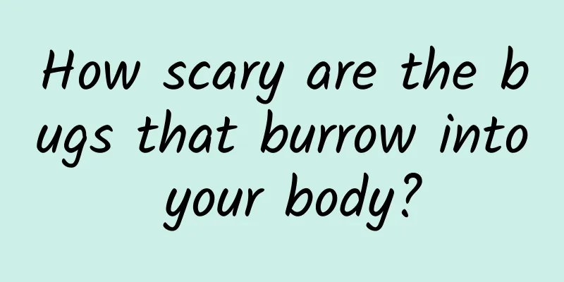 How scary are the bugs that burrow into your body?