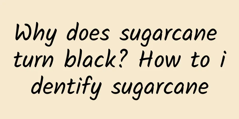 Why does sugarcane turn black? How to identify sugarcane