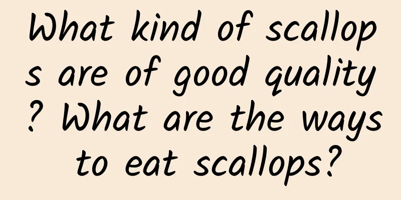 What kind of scallops are of good quality? What are the ways to eat scallops?