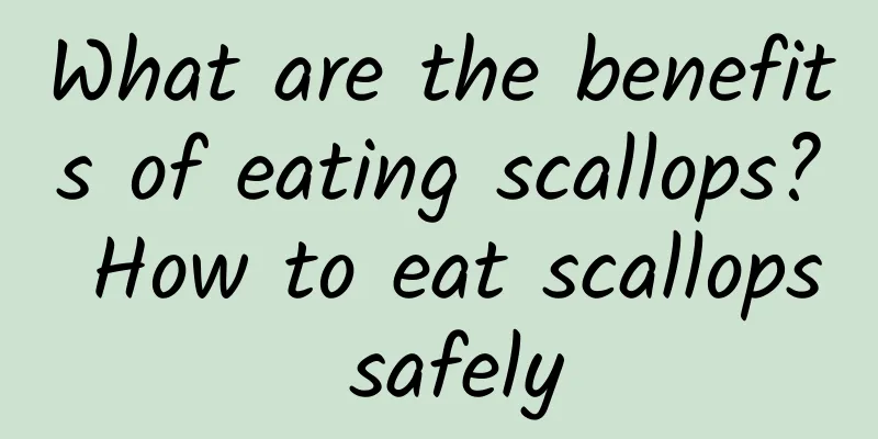 What are the benefits of eating scallops? How to eat scallops safely