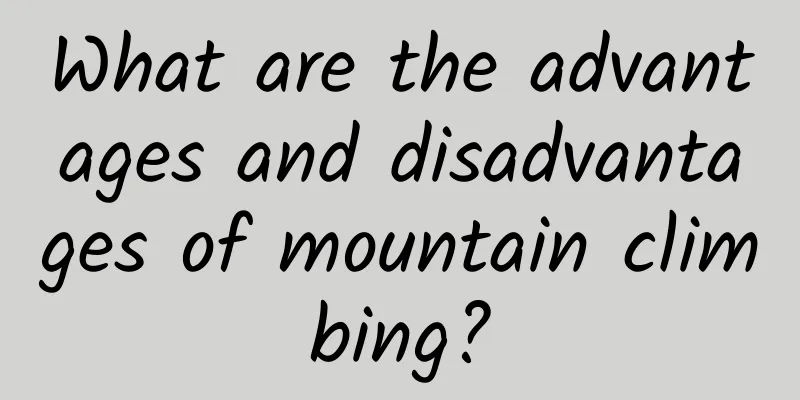 What are the advantages and disadvantages of mountain climbing?