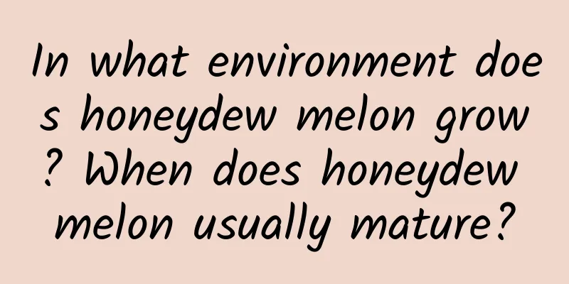In what environment does honeydew melon grow? When does honeydew melon usually mature?