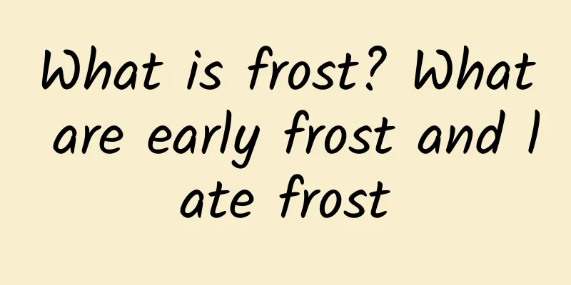 What is frost? What are early frost and late frost