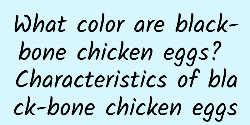What color are black-bone chicken eggs? Characteristics of black-bone chicken eggs