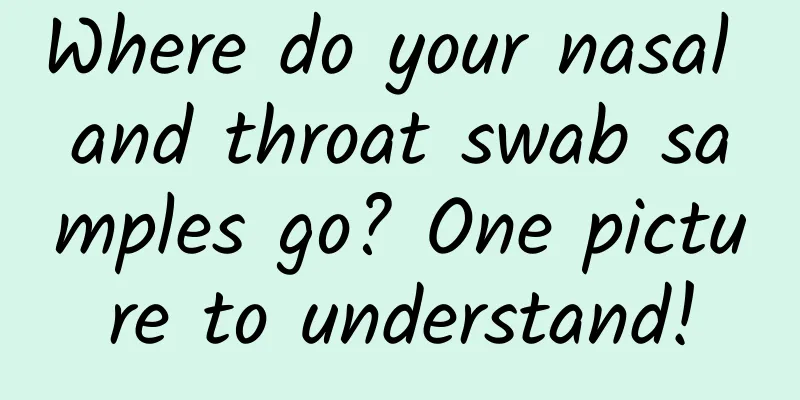 Where do your nasal and throat swab samples go? One picture to understand!