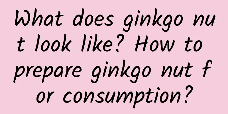 What does ginkgo nut look like? How to prepare ginkgo nut for consumption?