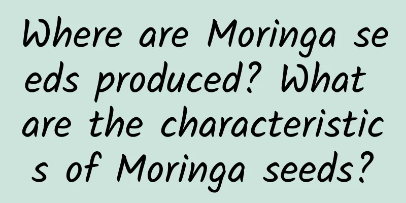 Where are Moringa seeds produced? What are the characteristics of Moringa seeds?