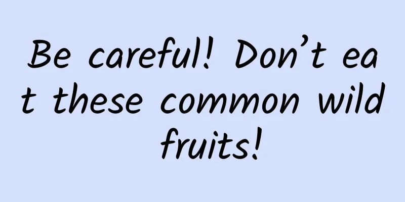 Be careful! Don’t eat these common wild fruits!