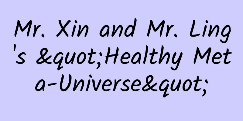 Mr. Xin and Mr. Ling's "Healthy Meta-Universe"