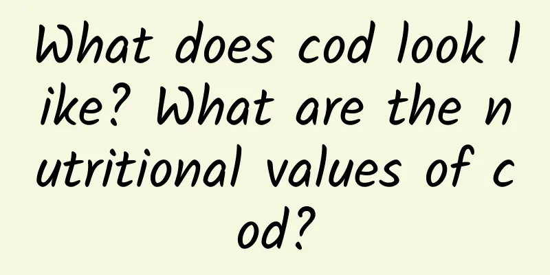 What does cod look like? What are the nutritional values ​​of cod?