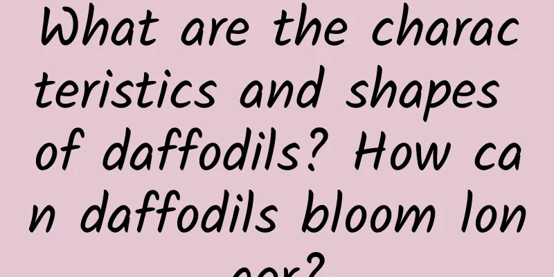 What are the characteristics and shapes of daffodils? How can daffodils bloom longer?