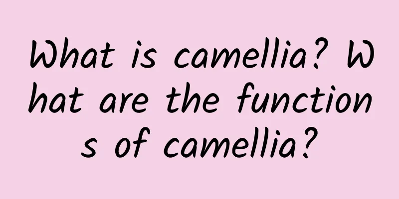 What is camellia? What are the functions of camellia?