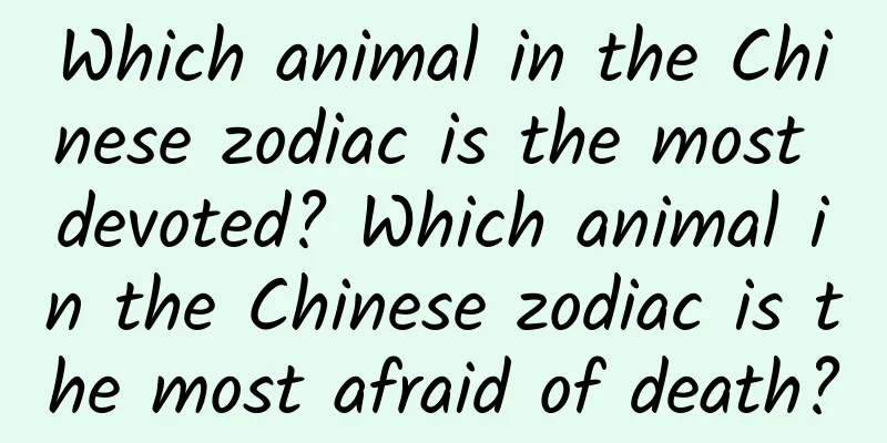 Which animal in the Chinese zodiac is the most devoted? Which animal in the Chinese zodiac is the most afraid of death?