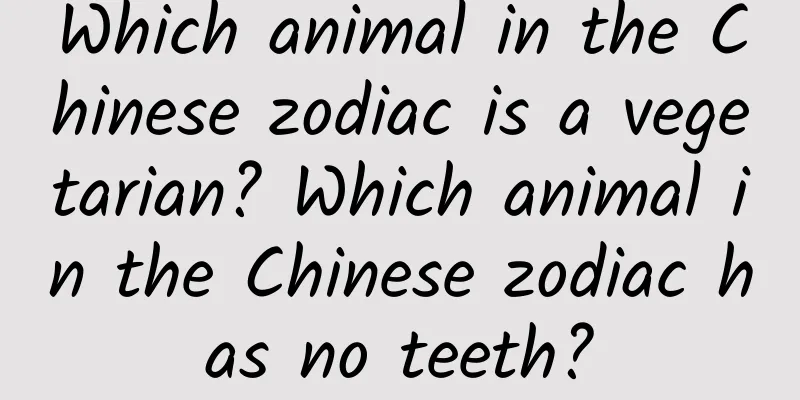 Which animal in the Chinese zodiac is a vegetarian? Which animal in the Chinese zodiac has no teeth?
