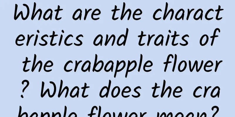 What are the characteristics and traits of the crabapple flower? What does the crabapple flower mean?