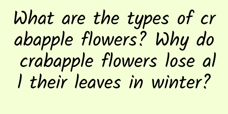 What are the types of crabapple flowers? Why do crabapple flowers lose all their leaves in winter?