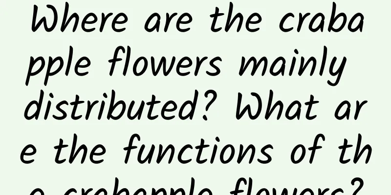 Where are the crabapple flowers mainly distributed? What are the functions of the crabapple flowers?