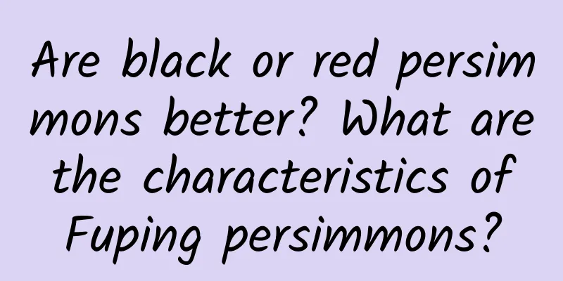 Are black or red persimmons better? What are the characteristics of Fuping persimmons?