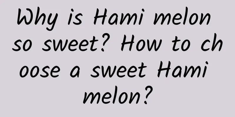 Why is Hami melon so sweet? How to choose a sweet Hami melon?