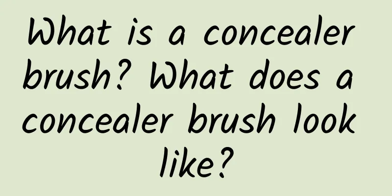 What is a concealer brush? What does a concealer brush look like?