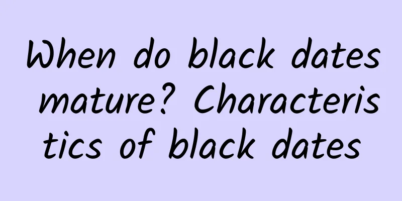 When do black dates mature? Characteristics of black dates