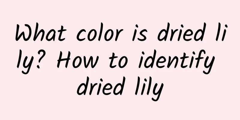 What color is dried lily? How to identify dried lily