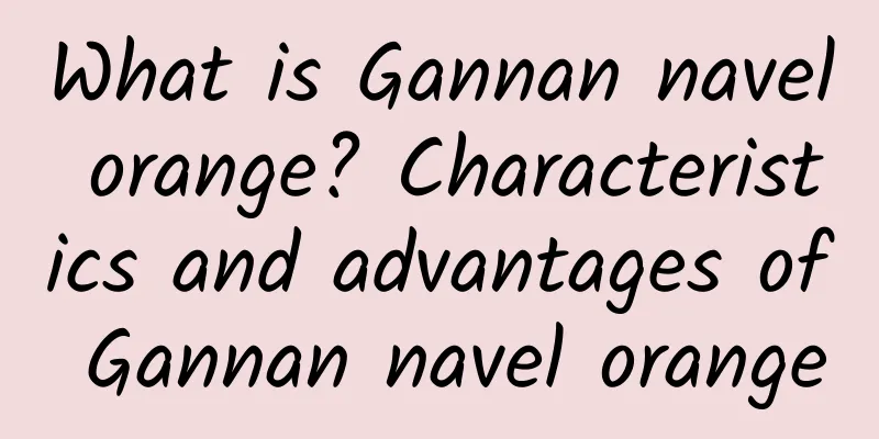 What is Gannan navel orange? Characteristics and advantages of Gannan navel orange