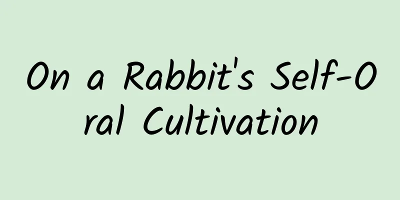 On a Rabbit's Self-Oral Cultivation