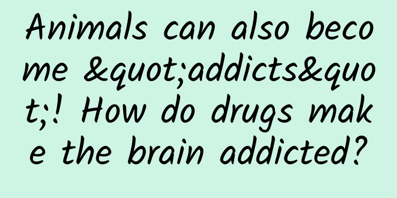 Animals can also become "addicts"! How do drugs make the brain addicted?