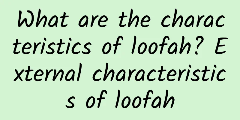 What are the characteristics of loofah? External characteristics of loofah