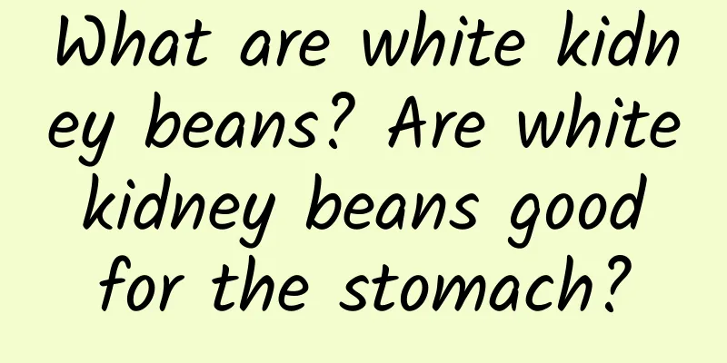 What are white kidney beans? Are white kidney beans good for the stomach?